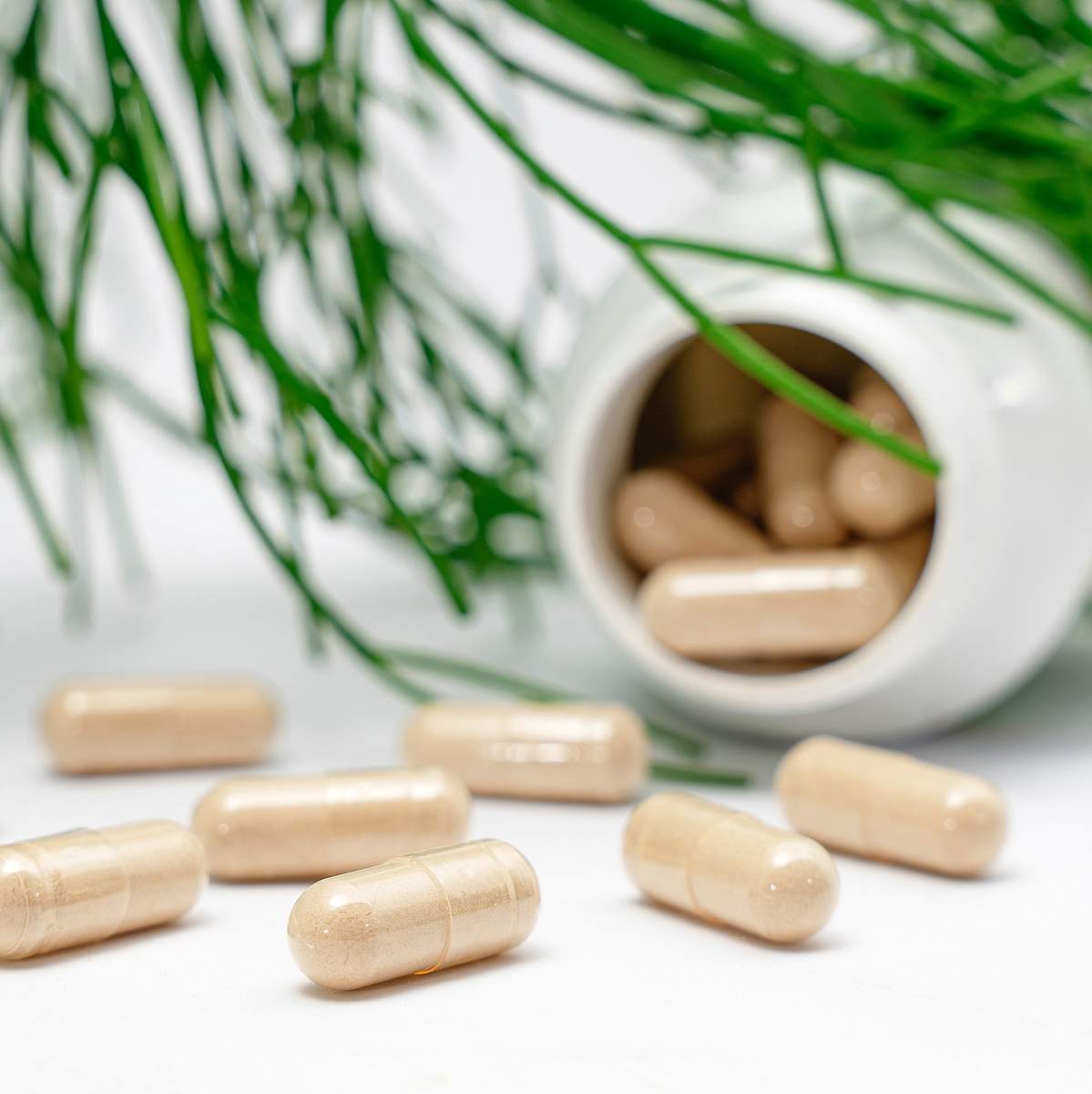 supplement_4kant